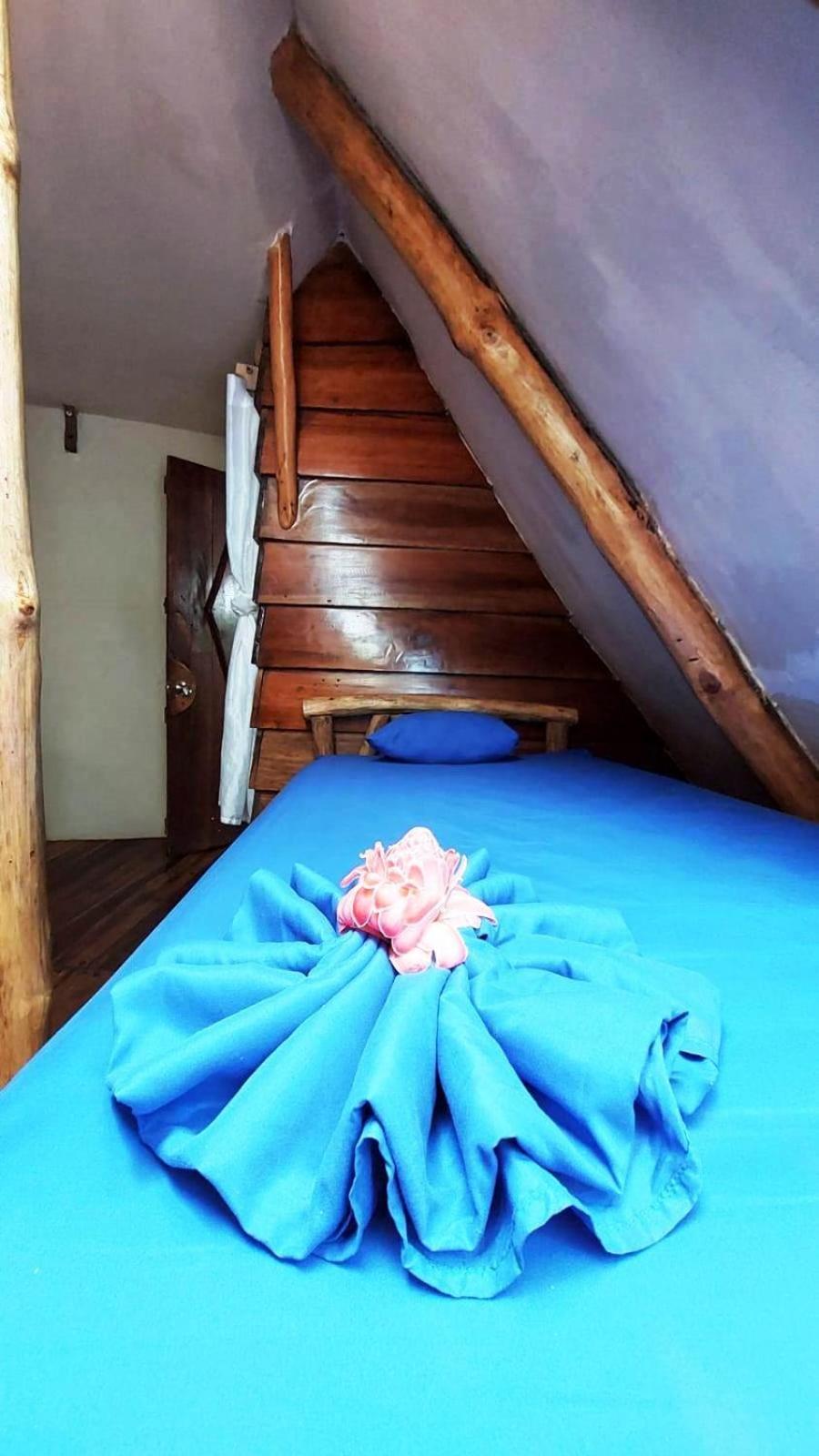 マンサニージョ Se Ua Bed & Breakfast エクステリア 写真